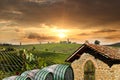 Vineyeard in Chianti, Tuscany, Italy, famous lands Royalty Free Stock Photo