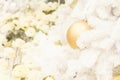 Vingate style of gold christmas ball on white christmas tree Royalty Free Stock Photo