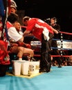 Vinny Paz v. Tocker Pudwell. 50th Victory. Royalty Free Stock Photo