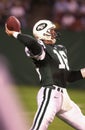 Vinny Testaverde