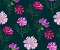 Seamless pattern with Cosmos bipinnatus. Hand drawing decorative background. Vector pattern. Print for textile, cloth, wallpaper,