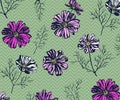 Seamless pattern with Cosmos bipinnatus. Hand drawing decorative background. Vector pattern. Print for textile, cloth, wallpaper,