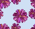 Seamless pattern with Cosmos bipinnatus. Hand drawing decorative background. Vector pattern. Print for textile, cloth, wallpaper,