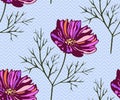 Seamless pattern with Cosmos bipinnatus. Hand drawing decorative background. Vector pattern. Print for textile, cloth, wallpaper,