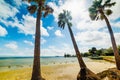 Vinoy park beach under a shining sun Royalty Free Stock Photo