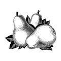 Vintage 1950s Pears Royalty Free Stock Photo