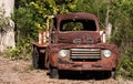 Vintage abandoned rusty farm truck ute against green trees Royalty Free Stock Photo