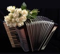 Vintage accordion and a bouquet of white roses. Concept of a nostalgic music. Still life with a folk musical instrument