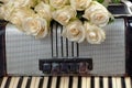 Vintage accordion and a bouquet of white roses. Concept of a nostalgic music.
