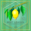 Vintage advertising poster of exotic citrus fruits. vector label with yellow ripe lemon branch in retro style. square elegant Royalty Free Stock Photo