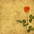 Vintage aged background, envelopes and rose Royalty Free Stock Photo