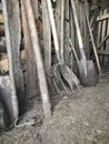 Vintage agricultural tools stand in a row in a wooden barn: rakes, hoes, pitchfork, shovels and more