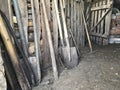 Vintage agricultural tools stand in a row in a wooden barn: rakes, hoes, pitchfork, shovels and more