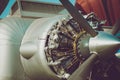 Vintage aircraft engine and propeller Royalty Free Stock Photo