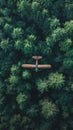 Vintage airplane flying over dense forest canopy Royalty Free Stock Photo