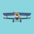 Vintage airplane Royalty Free Stock Photo