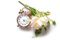 Vintage alarm clock and a light rose showing the hour between daylight saving time in summer and fall back for winter or standard Royalty Free Stock Photo