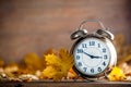 Vintage alarm clock and maple tree leaves Royalty Free Stock Photo