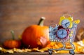 Vintage alarm clock and maple tree leaves Royalty Free Stock Photo