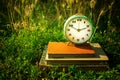 Vintage alarm clock on a stack of old books against a background Royalty Free Stock Photo