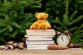 Vintage alarm clock, teddy bear and books on wooden table with spruce branches on background Royalty Free Stock Photo