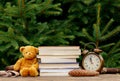 Vintage alarm clock, teddy bear and books on wooden table with spruce branches on background Royalty Free Stock Photo