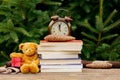 Vintage alarm clock, teddy bear and books on wooden table with spruce branches on background Royalty Free Stock Photo