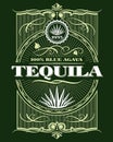Vintage alcohol tequila drink vector bottle label