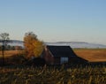 Daybreak over the farm, empty crop fields & valley fog Royalty Free Stock Photo