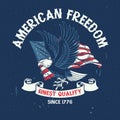Vintage American Eagle T-shirt Design Royalty Free Stock Photo