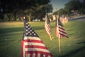 Vintage American Flags on green grass lawn near street Royalty Free Stock Photo