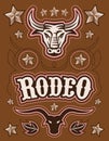 Vintage American Rodeo vector set - elements