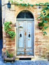 Vintage ancient door, history, time, memory, hanging plants and craftsmanship