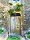 Vintage ancient door, history, time, memory and hanging plants