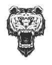 Angry tiger head in monochrome style. vintage isolated vector illustration Royalty Free Stock Photo