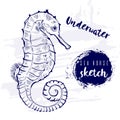 Vintage animal seahorse fish marine sketch.Retro line style.Hand drawn underwater.