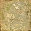 Vintage antique botanic floral collage paper background Royalty Free Stock Photo