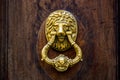 Vintage antique bronze gilt lion head door handle on a front door, castle gate. Royalty Free Stock Photo