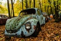 Vintage Antique Car - Junkyard In Autumn - Abandoned Volkswagen Type 1 / Beetle - Pennsylvania