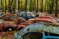 Vintage Antique Cars - Junkyard in Autumn - Abandoned Volkswagens - Pennsylvania Royalty Free Stock Photo