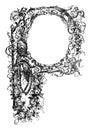 Vintage Antique Drawing Or Engraving Of Floral Ornamental Frame Or Capital Letter P