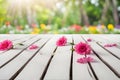 Wooden vintage table board with some pink gerberas, on spring flower garden bokeh background. Royalty Free Stock Photo