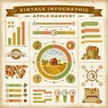 Vintage apple harvest infographic set