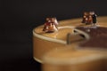 Vintage archtop guitar in natural maple close-up high angle view on black background, controls detail in selective focus Royalty Free Stock Photo