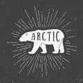 Vintage arctic white bear with slogan. Royalty Free Stock Photo