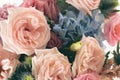 Vintage aromatic rose flower and natural leaf close up