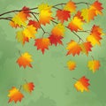 Vintage autumn background with branch of tree