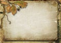 Vintage autumn background with oak leaves and acorns Royalty Free Stock Photo