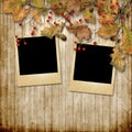 Vintage autumn background with rowan and photo-frame