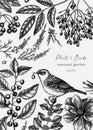 Vintage autumn design with bird. Elegant botanical template with autumn leaves, berries, flowers and dunnock sketches. Perfect for